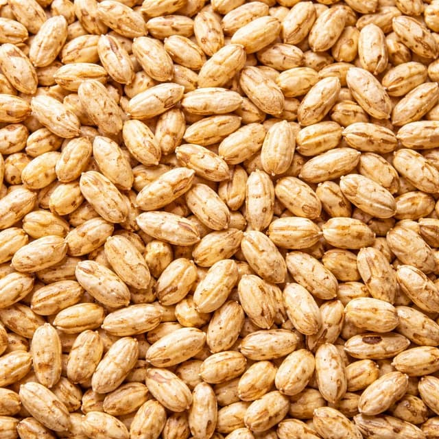 Pompoenpitten Geroosterd